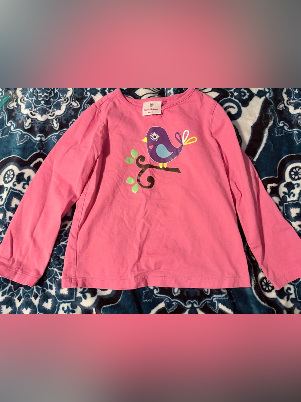 Hanna Andersson Pink Long-Sleeve Tee with Colorful Bird Graphic